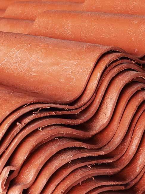 Detalle de una lámina plastiteja.