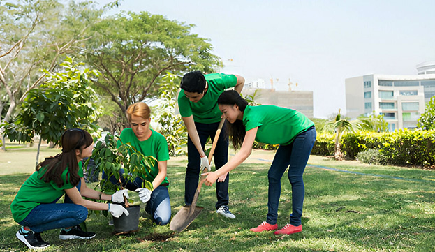 Jóvenes plantando un árbol en parque - Educación ambiental