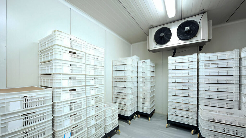 Cámara de refrigeración de un almacén construida con panel Economuro Ternium