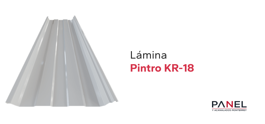 Lámina Pintro KR-18